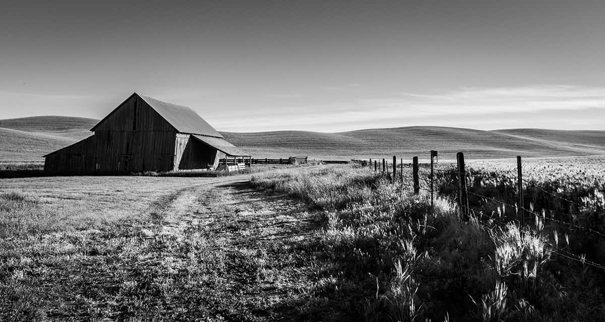 Old Farm Structure on the Palouse