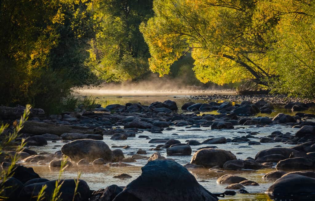 Fall Morning on the Poudre River