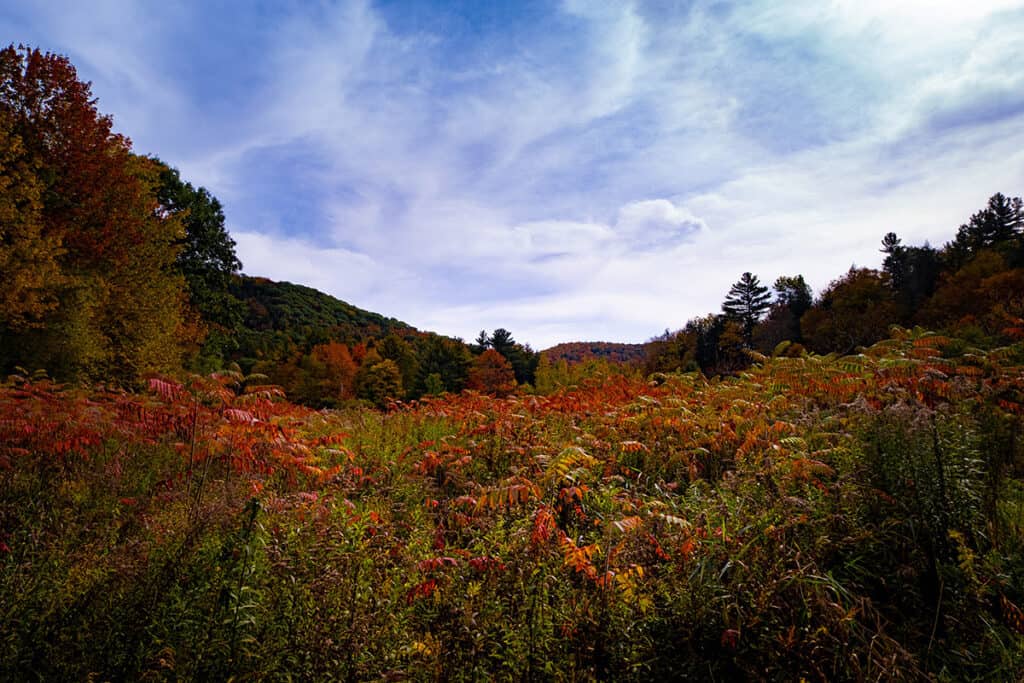 Vermont Fall Landscape